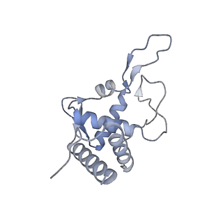 2763_3j81_T_v1-3
CryoEM structure of a partial yeast 48S preinitiation complex