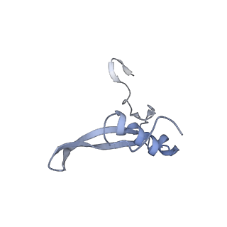 2763_3j81_V_v1-2
CryoEM structure of a partial yeast 48S preinitiation complex
