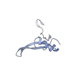 2763_3j81_V_v1-3
CryoEM structure of a partial yeast 48S preinitiation complex