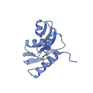 2763_3j81_W_v1-2
CryoEM structure of a partial yeast 48S preinitiation complex