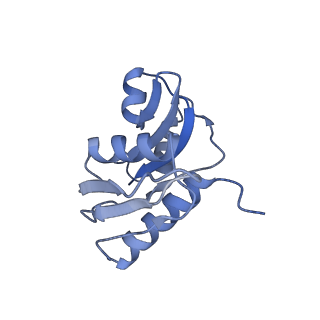 2763_3j81_W_v1-3
CryoEM structure of a partial yeast 48S preinitiation complex