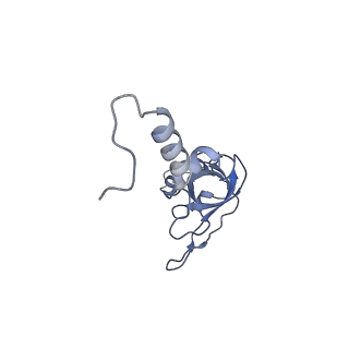 2763_3j81_X_v1-2
CryoEM structure of a partial yeast 48S preinitiation complex