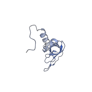 2763_3j81_X_v1-3
CryoEM structure of a partial yeast 48S preinitiation complex