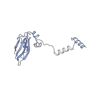 2763_3j81_Y_v1-2
CryoEM structure of a partial yeast 48S preinitiation complex