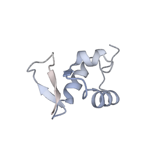 2763_3j81_Z_v1-3
CryoEM structure of a partial yeast 48S preinitiation complex