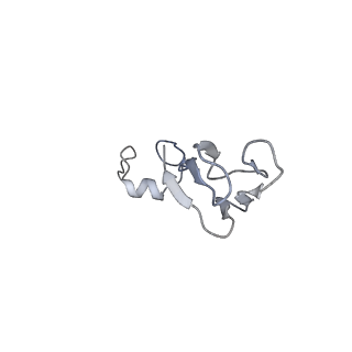 2763_3j81_b_v1-2
CryoEM structure of a partial yeast 48S preinitiation complex