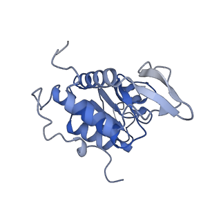 2764_3j80_A_v1-2
CryoEM structure of 40S-eIF1-eIF1A preinitiation complex