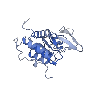 2764_3j80_A_v1-3
CryoEM structure of 40S-eIF1-eIF1A preinitiation complex