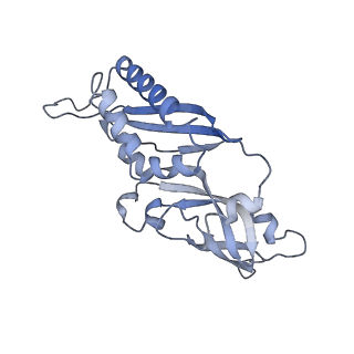 2764_3j80_B_v1-2
CryoEM structure of 40S-eIF1-eIF1A preinitiation complex