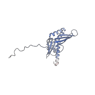 2764_3j80_D_v1-2
CryoEM structure of 40S-eIF1-eIF1A preinitiation complex