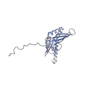 2764_3j80_D_v1-3
CryoEM structure of 40S-eIF1-eIF1A preinitiation complex