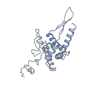 2764_3j80_F_v1-2
CryoEM structure of 40S-eIF1-eIF1A preinitiation complex