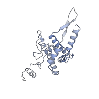 2764_3j80_F_v1-3
CryoEM structure of 40S-eIF1-eIF1A preinitiation complex