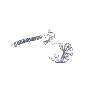 2764_3j80_G_v1-2
CryoEM structure of 40S-eIF1-eIF1A preinitiation complex