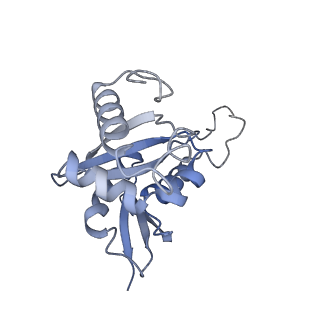 2764_3j80_H_v1-2
CryoEM structure of 40S-eIF1-eIF1A preinitiation complex
