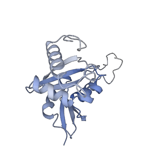 2764_3j80_H_v1-3
CryoEM structure of 40S-eIF1-eIF1A preinitiation complex