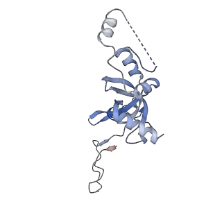 2764_3j80_I_v1-2
CryoEM structure of 40S-eIF1-eIF1A preinitiation complex