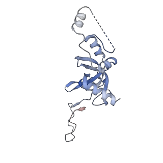 2764_3j80_I_v1-3
CryoEM structure of 40S-eIF1-eIF1A preinitiation complex