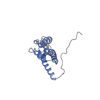 2764_3j80_J_v1-2
CryoEM structure of 40S-eIF1-eIF1A preinitiation complex