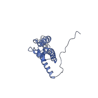 2764_3j80_J_v1-3
CryoEM structure of 40S-eIF1-eIF1A preinitiation complex