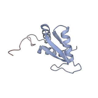 2764_3j80_K_v1-2
CryoEM structure of 40S-eIF1-eIF1A preinitiation complex