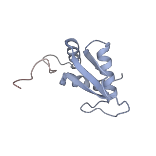 2764_3j80_K_v1-3
CryoEM structure of 40S-eIF1-eIF1A preinitiation complex