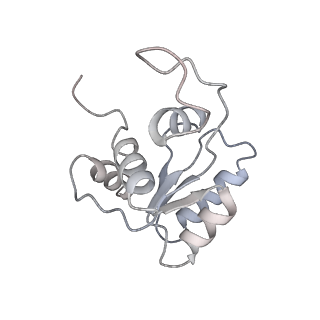 2764_3j80_M_v1-2
CryoEM structure of 40S-eIF1-eIF1A preinitiation complex