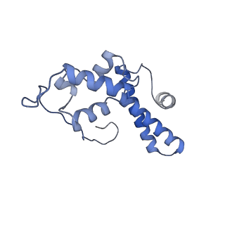 2764_3j80_N_v1-2
CryoEM structure of 40S-eIF1-eIF1A preinitiation complex