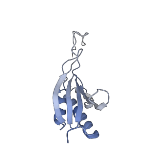 2764_3j80_O_v1-2
CryoEM structure of 40S-eIF1-eIF1A preinitiation complex