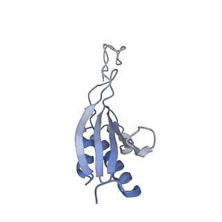 2764_3j80_O_v1-3
CryoEM structure of 40S-eIF1-eIF1A preinitiation complex