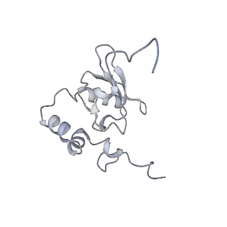 2764_3j80_P_v1-2
CryoEM structure of 40S-eIF1-eIF1A preinitiation complex