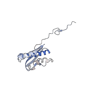 2764_3j80_Q_v1-2
CryoEM structure of 40S-eIF1-eIF1A preinitiation complex