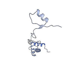 2764_3j80_R_v1-2
CryoEM structure of 40S-eIF1-eIF1A preinitiation complex