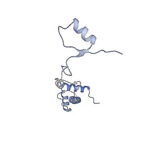 2764_3j80_R_v1-3
CryoEM structure of 40S-eIF1-eIF1A preinitiation complex