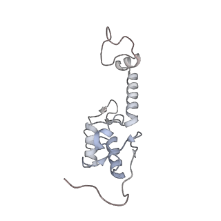 2764_3j80_S_v1-2
CryoEM structure of 40S-eIF1-eIF1A preinitiation complex