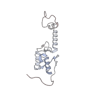 2764_3j80_S_v1-3
CryoEM structure of 40S-eIF1-eIF1A preinitiation complex