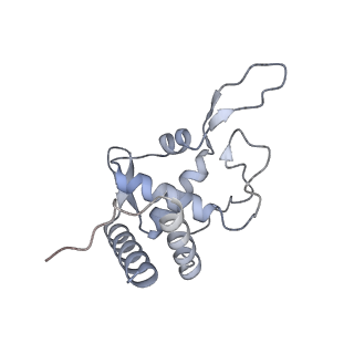 2764_3j80_T_v1-2
CryoEM structure of 40S-eIF1-eIF1A preinitiation complex
