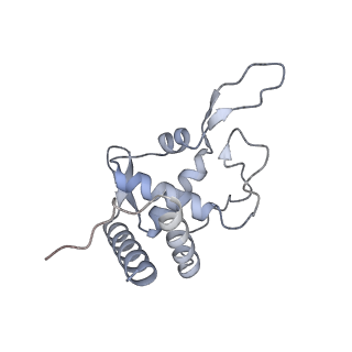 2764_3j80_T_v1-3
CryoEM structure of 40S-eIF1-eIF1A preinitiation complex