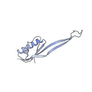 2764_3j80_U_v1-3
CryoEM structure of 40S-eIF1-eIF1A preinitiation complex