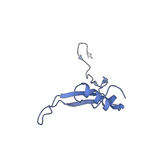 2764_3j80_V_v1-2
CryoEM structure of 40S-eIF1-eIF1A preinitiation complex