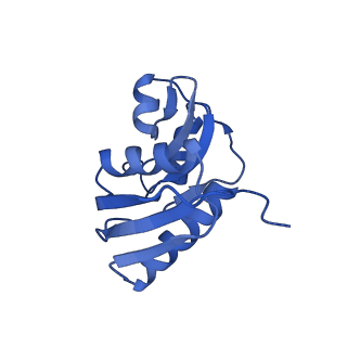 2764_3j80_W_v1-3
CryoEM structure of 40S-eIF1-eIF1A preinitiation complex