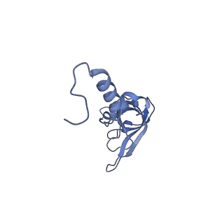 2764_3j80_X_v1-2
CryoEM structure of 40S-eIF1-eIF1A preinitiation complex