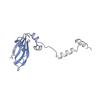 2764_3j80_Y_v1-3
CryoEM structure of 40S-eIF1-eIF1A preinitiation complex