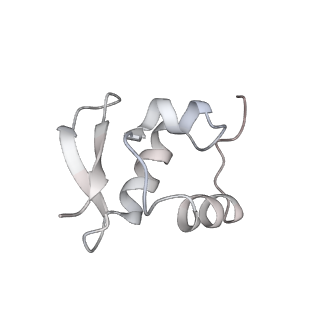 2764_3j80_Z_v1-2
CryoEM structure of 40S-eIF1-eIF1A preinitiation complex