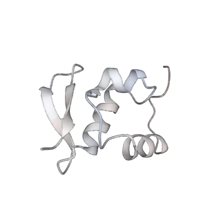 2764_3j80_Z_v1-3
CryoEM structure of 40S-eIF1-eIF1A preinitiation complex