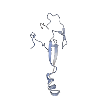 2764_3j80_a_v1-2
CryoEM structure of 40S-eIF1-eIF1A preinitiation complex