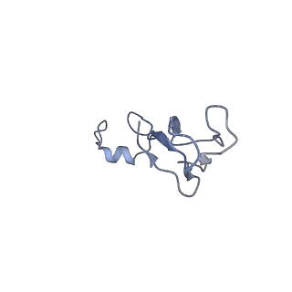 2764_3j80_b_v1-2
CryoEM structure of 40S-eIF1-eIF1A preinitiation complex