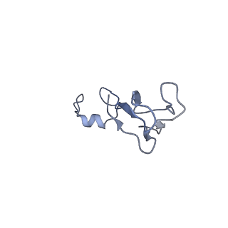 2764_3j80_b_v1-3
CryoEM structure of 40S-eIF1-eIF1A preinitiation complex