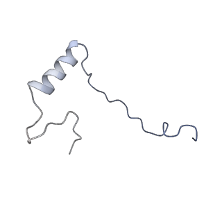 2764_3j80_e_v1-2
CryoEM structure of 40S-eIF1-eIF1A preinitiation complex