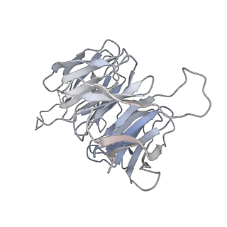 2764_3j80_g_v1-2
CryoEM structure of 40S-eIF1-eIF1A preinitiation complex
